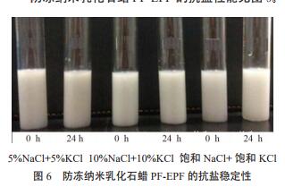 防凍納米乳化石蠟 PF-EPF 的抗鹽穩(wěn)定性